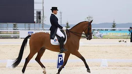 ȫ�˻�������Ŀʢװ�貽���������� �㶫���˶�Ա�˱���ý���