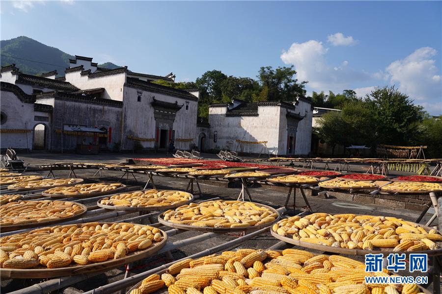 安徽黄山:古村"晒秋"迎丰收-中工摄影-中工网
