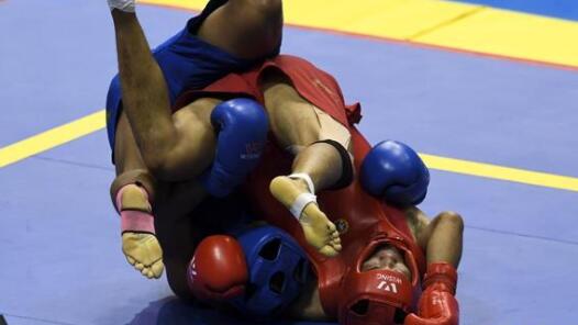 ȫ�˻�����ɢ����Ŀ����75���Ｖ��������������ý���