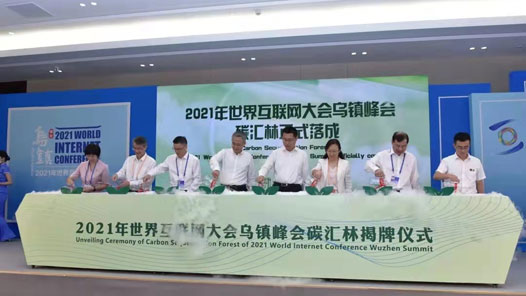 2021�����绥������������ᡰ̼��塢̼�к͡��ж�����