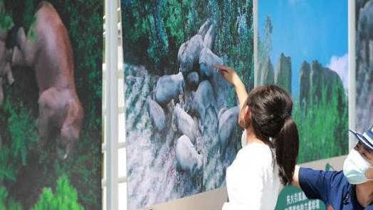 ����ɭ�ַ�������������������Ļ �ٷ���Ƭ����׷�����