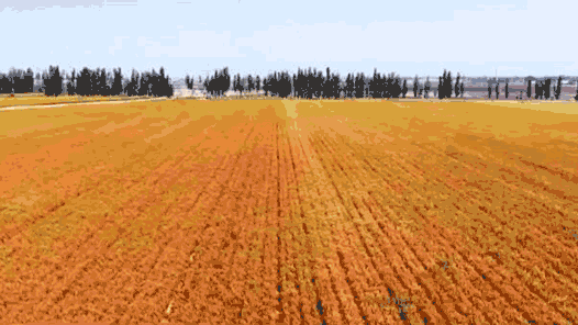 �й������Ƕ��ɰ���