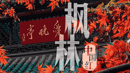 ������й�ح����������һĨ�죡