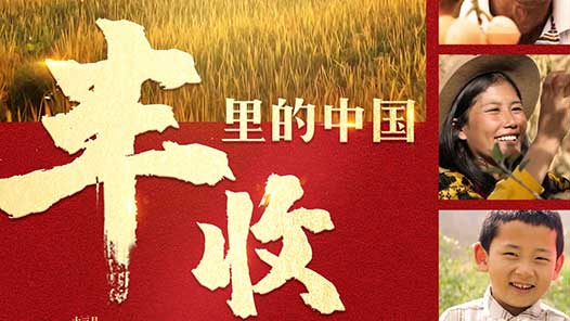 �����������Ϊ�ܶ��߶��裬�׸���������й�