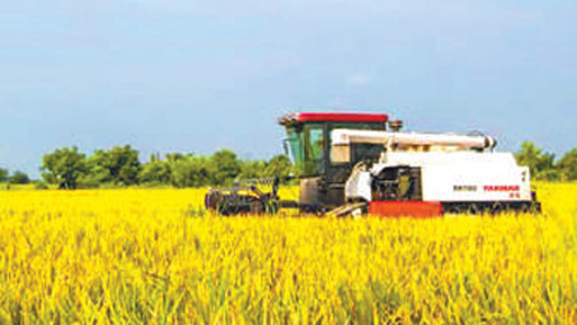 �����й� ��������