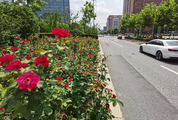 ���и��������������ݣ�ͨ���������Ϻ�չʾ���廨�롱�µľ�����