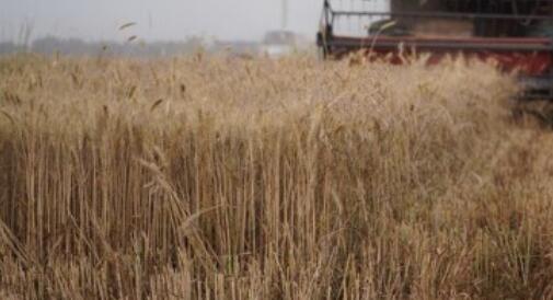 ���Ͷ���ǿ�����������ˣ���ʫ��