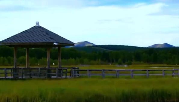 ���Ͷ���ǿ���������ӡ�����Զ�����ĸ���