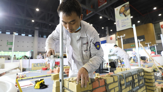 �����߽�ȫ��ְ��ְҵ���ܴ�����������ͼ��529���������ֳɶ��ȸߵ�