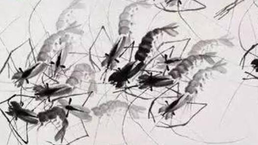 ���ʯ�����Ⱦ�����еȴ���������࣬������Ժ�ڹ�������ѹ�䱦