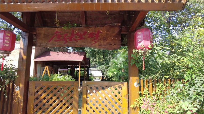 【母亲河畔的中国】“大风口”成“幸福村”，“梦里张庄”飞往现实