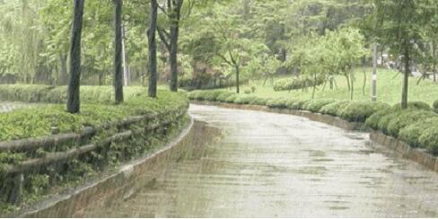 ���Ͷ���ǿ����һ·�߸�