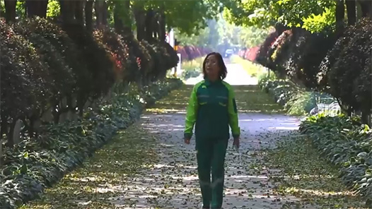 【爱在城市】园林绿化工：让树木“飞”进城市