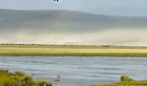 【母亲河畔的中国】那些年深植我们记忆中的诗词里的黄河……