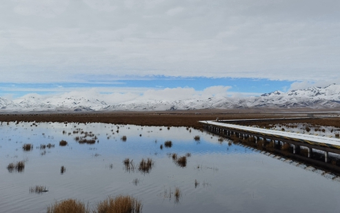 【母亲河畔的中国】生态修复见实效  花湖成“最美黄河蓄水池”