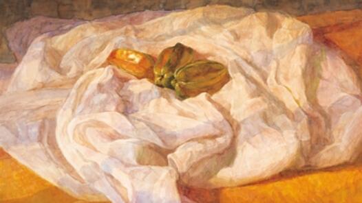 �ռҷң���ϣ�����ø�д�⣬�������Ķ���