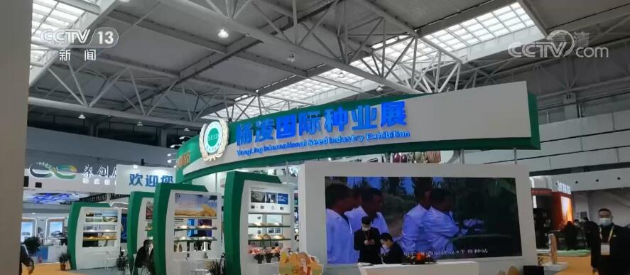 临安这边哪边洗脚比较好_樟树精鼎足道附近约啪啪___漳州平和县新闻网