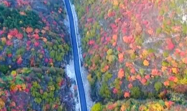 ܶ· ̡й˵ľϵ|̫о ֮·