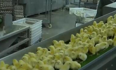 ܶ· ̡й˵ľϵ|̫о ƶתͷչ