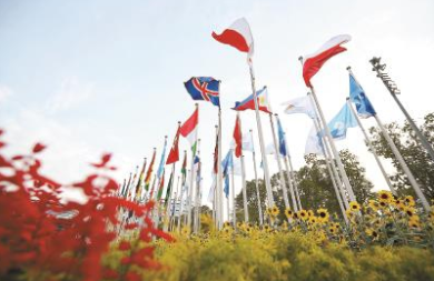 ���������������磬��Ҷ���ھ�������