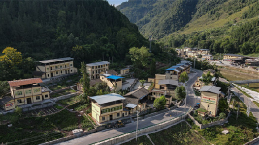 ���������˫ѭ��������̼ײ��˫ѭ������Ӧ����Ρ��̡�����