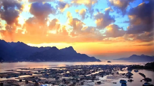 �������ϣ���Щ�������˴�