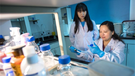 ������Ʒ�ڽ��������ݡ��������㡱