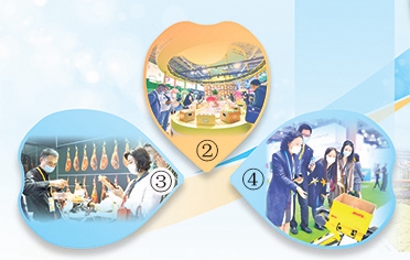 ӵ���й��г�  ������չ����