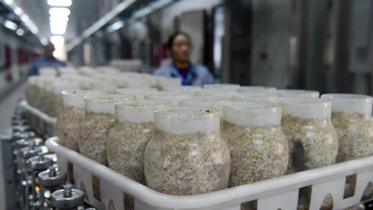 ������ҵ������������й�