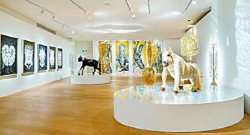 �����������������϶�����ɽ������