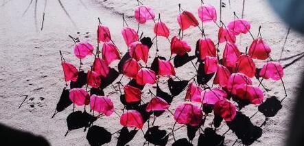 ��24�������Ӱչ��Ļ