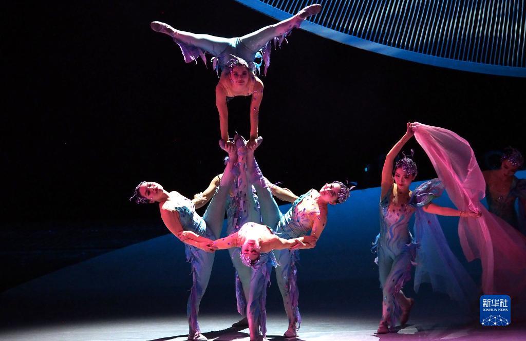 11月12日晚,广州市杂技艺术剧院演员在表演杂技舞剧《化·蝶》.