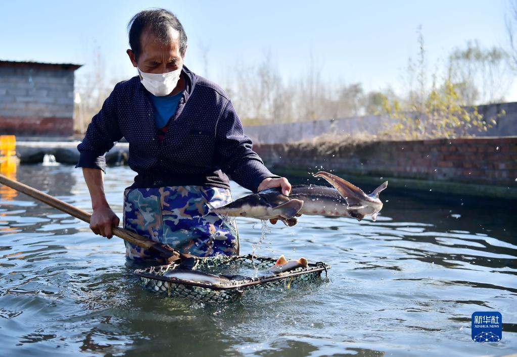 湿地养殖什么 湿地养殖什么赚钱