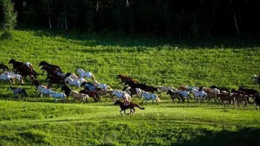 궼塪̬Ӹãܶ· ̡ͬıС