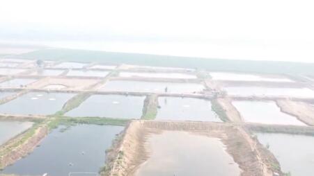 붽һ֯ˣǧĶϻƺʪر8