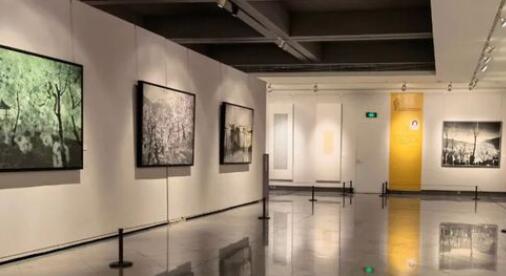 ���Ž�����������������״չ��չ��