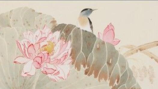 ���������ʻ�����Ʒչչ��