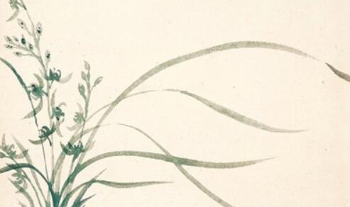 �߽�Ҷ���µ���������