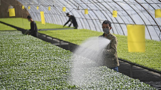 ܶ· ̡ѧʷ ˼ ʵ ¾֣ģ弯ҵչٽͬԣ