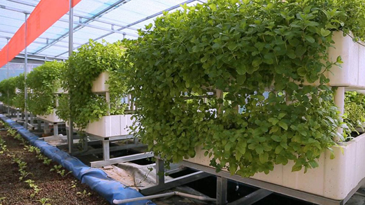 ����ȫ�ᾫ���ڻ��������˹����� һλ�����ϱ��Ĺ�ͬ��ԣ��