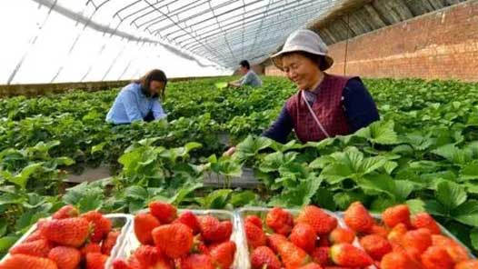 ܶ· ̡չƶɹƶȹ ˶