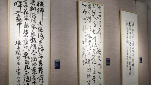 ���������������̳�̹ſ���