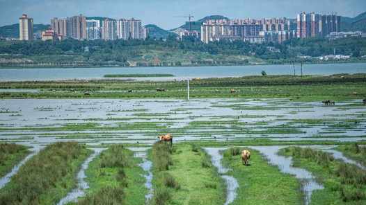 ܶ· ̡չƶɹ ³̡йŸƶع۲