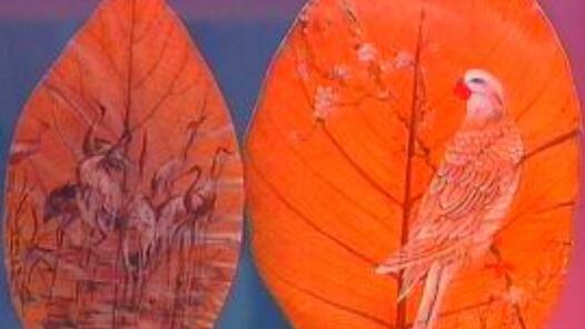 �人���޴���Ҷ������30���� �������ѧ������Ҷ��д����