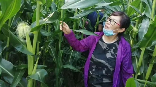 【爱在城市】冷玲：为乡亲办实事的“土专家”