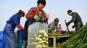 ܼ֯ ٽȶգܶ· ̡չƶɹ