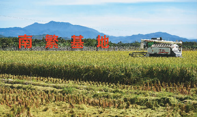 海南南繁基地为中国饭碗铸实底座