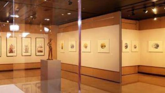 ��������������ƷΪ���˺Ȳ�