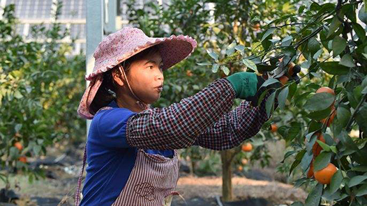 ܶ· ̡й˵ľϵƶᾫ񣺲 