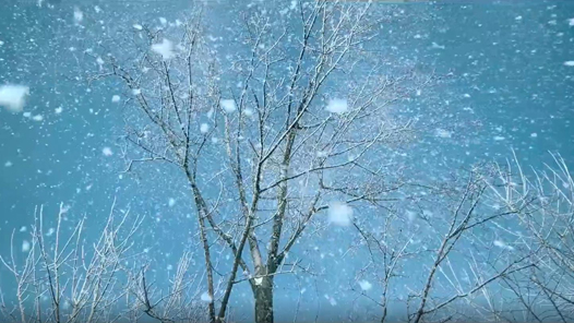 【职爱冬奥】歌曲《雪花请柬》及MV全网上线 深情献礼北京冬奥